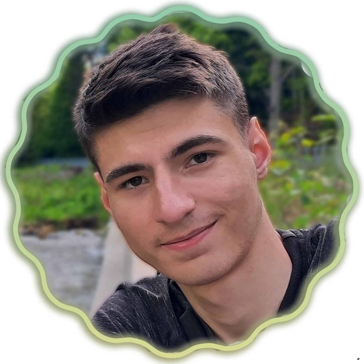 Imagine optimizată