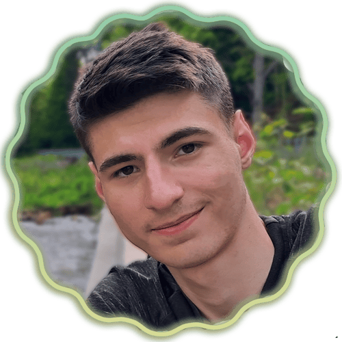 Imagine optimizată